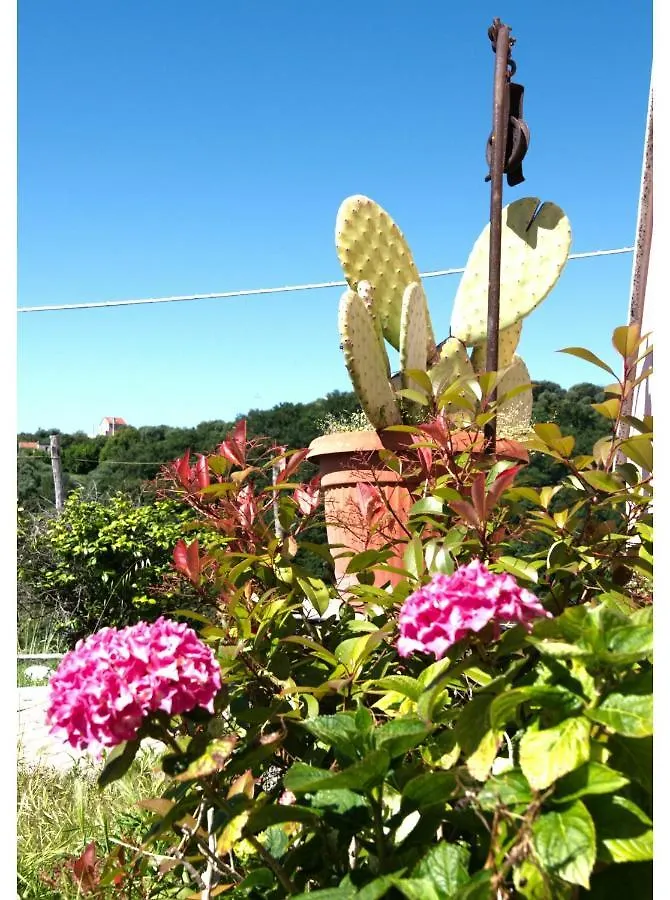 Villa Zafferano Suites Celle Ligure